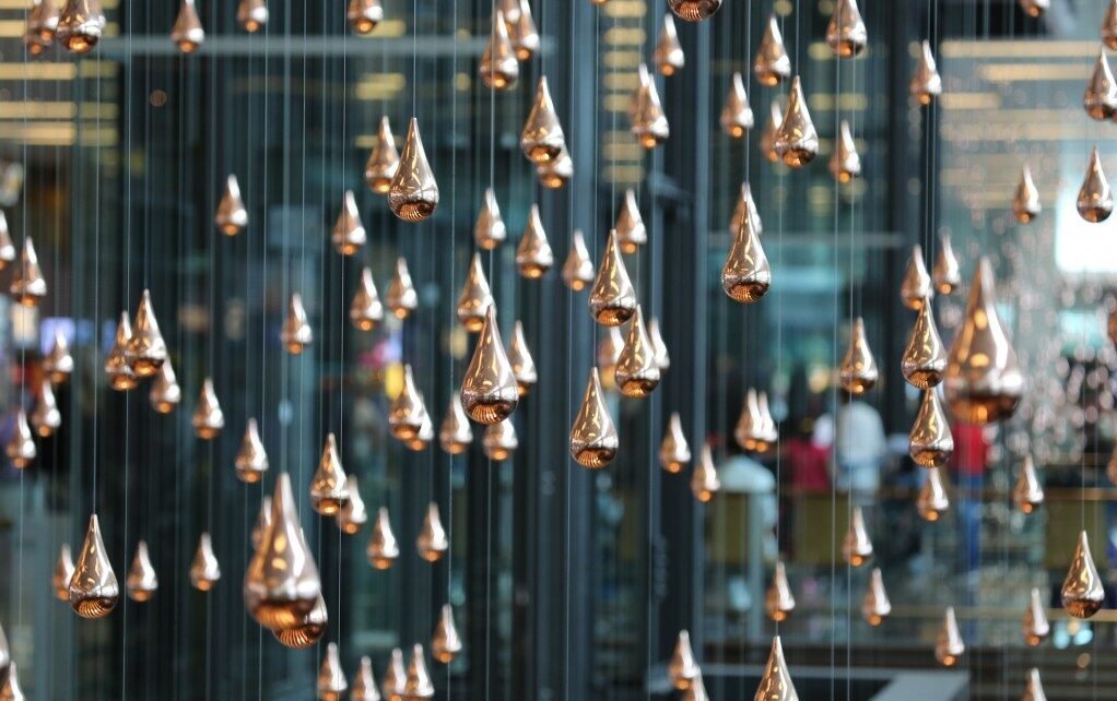 945C0896-1024x682